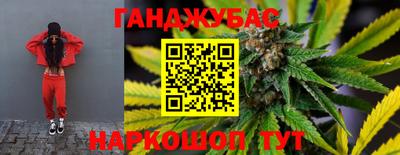 индика Можайск