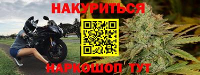 стаф Моздок
