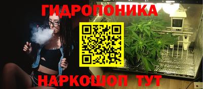 стаф Моздок