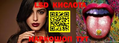 индика Можайск