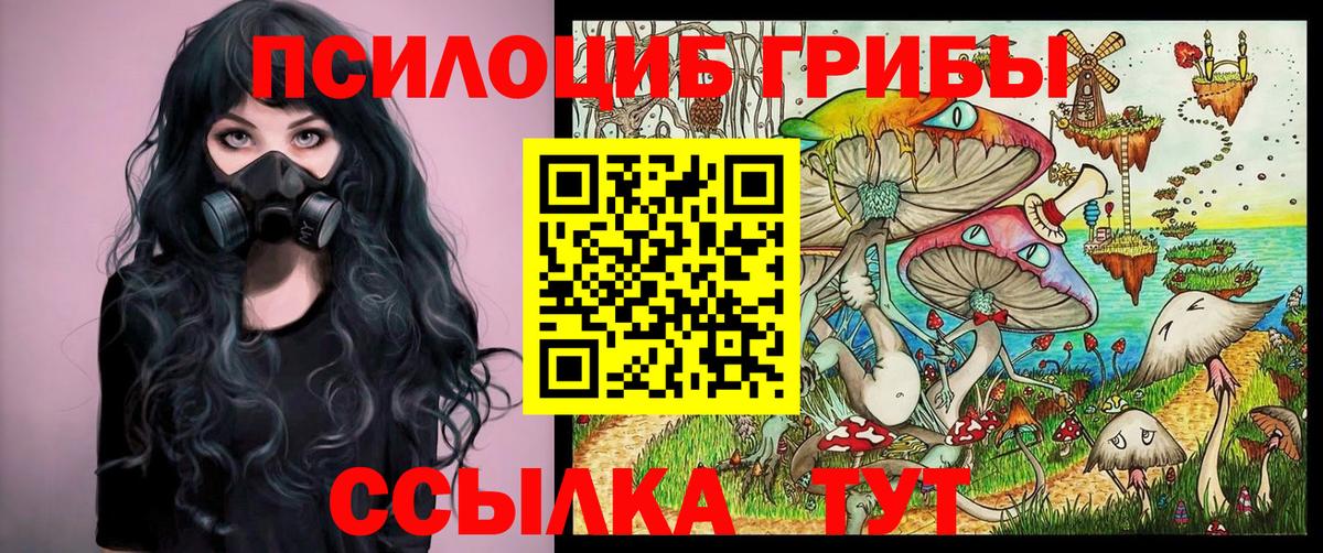 Псилоцибиновые грибы мухоморы  Псилоцибиновые грибы Cubensis  Вход с VPN  Заводоуковск 