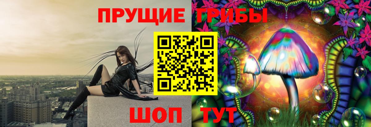 Псилоцибиновые грибы мухоморы Заводоуковск